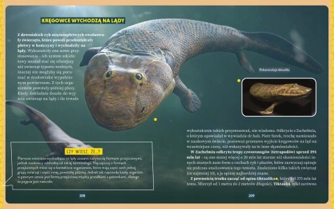 Zanim pojawiły się dinozaury Niesamowite dzieje