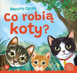 Co Robią Koty Renata Opala Książeczka Bajka