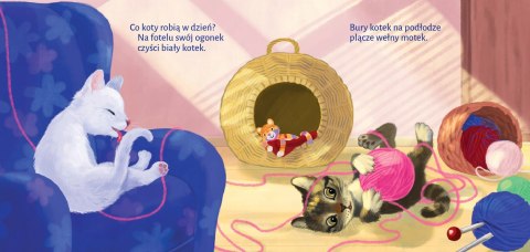 Co Robią Koty Renata Opala Książeczka Bajka