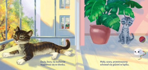 Co Robią Koty Renata Opala Książeczka Bajka