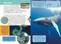 Mała Encyklopedia Zwierzęta Morskie Ciekawostki