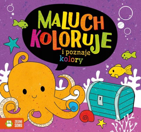 Maluch koloruje i poznaje kolory Kolorowanka Zielona Sowa