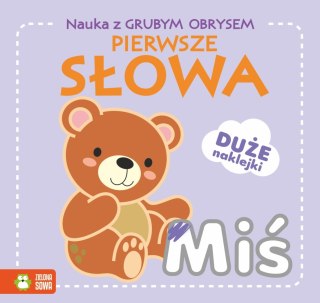 Nauka z grubym obrysem Pierwsze słowa Zielona Sowa