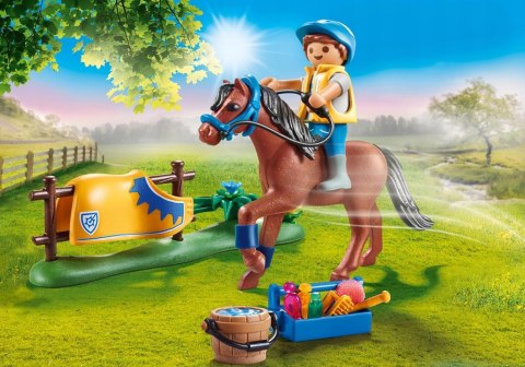 Playmobil 70523 Country Kucyk walijski 4+