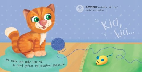 Pobaw się ze mną mój koteczku Książeczka Bajka