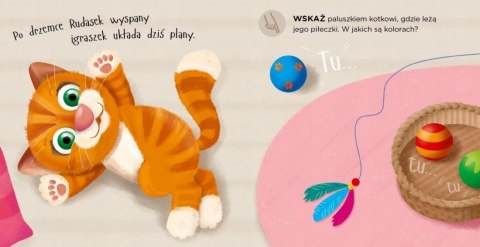 Pobaw się ze mną mój koteczku Książeczka Bajka