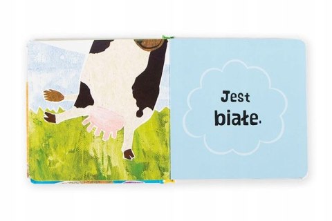 Smakołyki Pierwsze zagadki Akademia mądrego dzieck