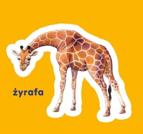 Zwierzęta Egzotyczne Harmonijka dla Malucha