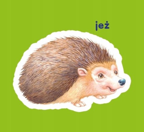 Zwierzęta Leśne Harmonijka dla Malucha Obrazkowa