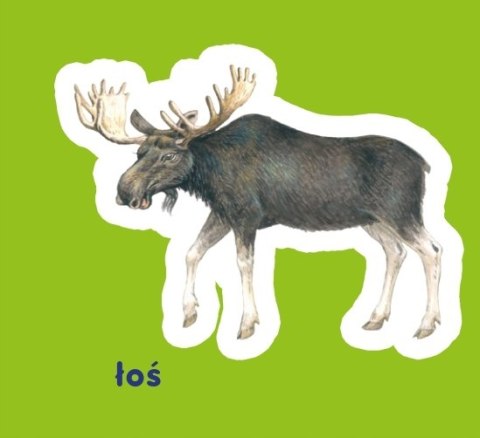 Zwierzęta Leśne Harmonijka dla Malucha Obrazkowa