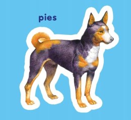 Zwierzęta z Podwórka Harmonijka Obrazkowa Maluch