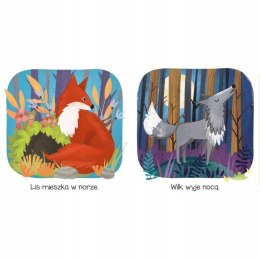 Kto Tu Mieszka? W lesie Książeczka dla Maluszka Aksjomat