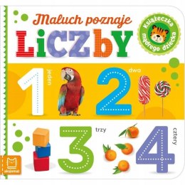 Maluch poznaje liczby Książeczka mądrego dziecka Aksjomat