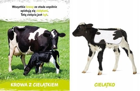 Milusińscy Na wsi Książka z futerkami Sensoryczna