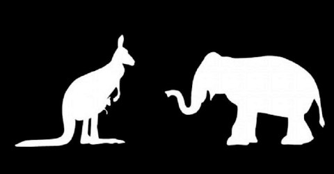 Oczami Maluszka zestaw 4 Książeczek Kontrastowych