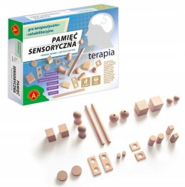 Terapia Gra Pamięć Sensoryczna Sensoryka Alexander