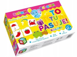To Tu Pasuje Układanka Edukacyjna Kolory Multigra