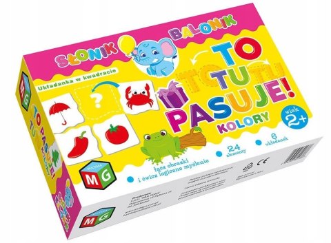 To Tu Pasuje Układanka Edukacyjna Kolory Multigra
