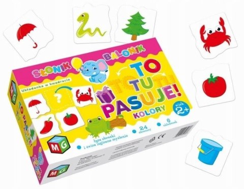 To Tu Pasuje Układanka Edukacyjna Kolory Multigra