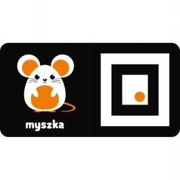 Zobacz Maluszku Książeczka Kontrastowa z Autkiem Aksjomat