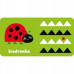 Zobacz Maluszku Książeczka Kontrastowa z Kotkiem Aksjomat