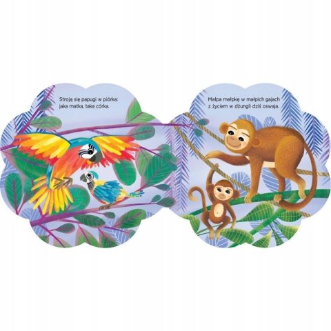 Zwierzątka i ich dzieci W dżungli Książeczka Aksjomat