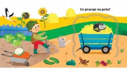 Co kryją okienka? Pojazdy Książka z okienkami Auta Aksjomat