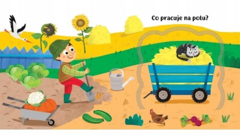 Co kryją okienka? Pojazdy Książka z okienkami Auta Aksjomat