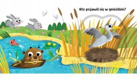 Co kryją okienka? w Lesie Książka z okienkami Aksjomat