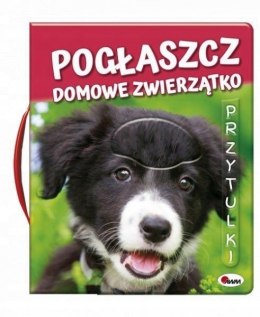 Książeczka Sensoryczna Pogłaszcz Domowe Zwierzątko