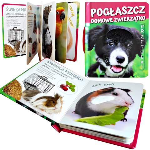 Książeczka Sensoryczna Pogłaszcz Domowe Zwierzątko