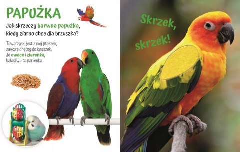 Książeczka Sensoryczna Pogłaszcz Domowe Zwierzątko