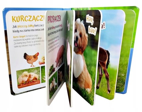 Książeczka Sensoryczna Pogłaszcz Zwierzątko