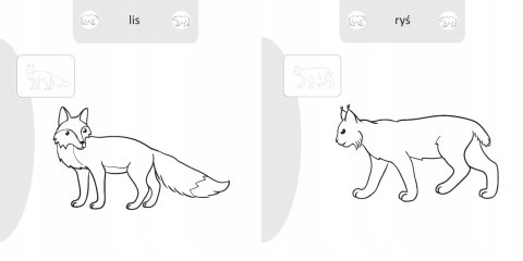 Malowanie doklejanie Zwierzęta leśne Kolorowanka