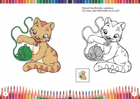 Malowanki Zwierzęta Kolorowanki Naklejki Wielokrot