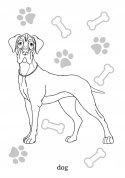 Maluszkowe malowanie Psy rasowe Malowanka Pieski