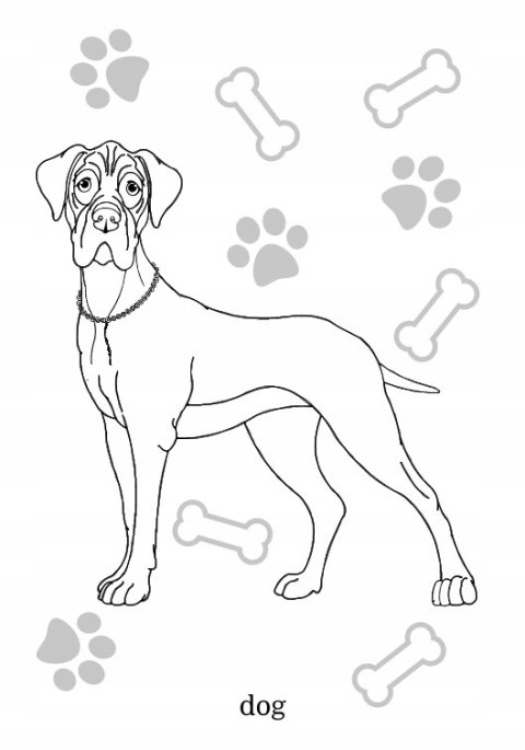 Maluszkowe malowanie Psy rasowe Malowanka Pieski