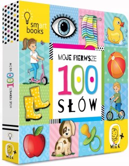 Moje Pierwsze 100 Słów 0+ dla Maluszka Słówka