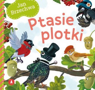 Ptasie plotki Jan Brzechwa Bajki Brzechwy 20x19 cm