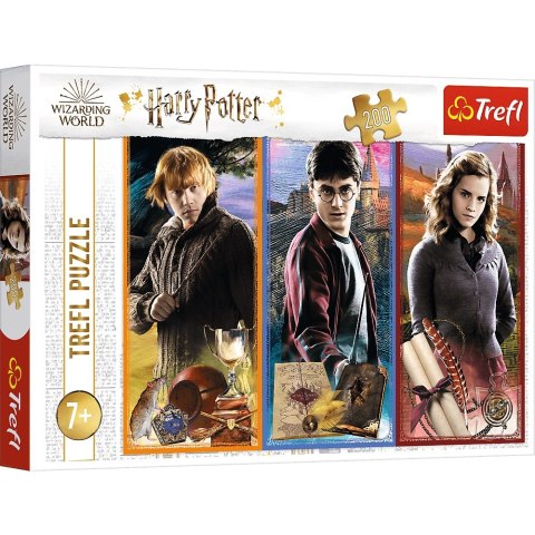 Puzzle 200 Świecie Magii Harry Potter 13277 Trefl