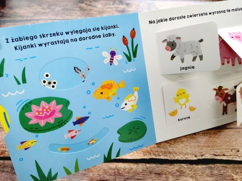 Spójrz, jak rosnę! Akademia mądrego dziecka HarperKids