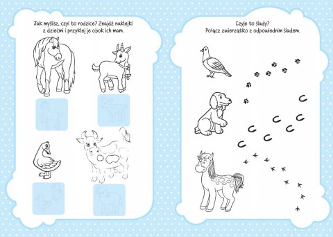 Akademia dla 3-latka Zagadki + 16 Naklejek 3+