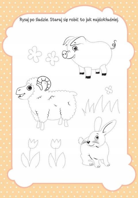 Akademia dla 4-latka Zagadki + 16 Naklejek