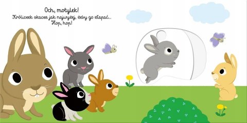 Dzień dobry, króliczku! Akademia mądrego dziecka