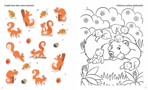 Fascynujące Łamigłówki Przyroda Naklejki