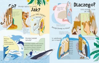 Kocham Dzikie Zwierzęta Podnieś Klapkę