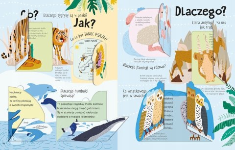 Kocham Dzikie Zwierzęta Podnieś Klapkę