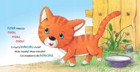 Kotek Miau Miau Bajki Wierszyki Książeczka