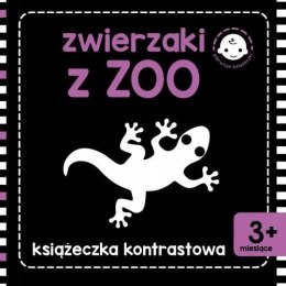 Książeczka kontrastowa Zwierzaki z Zoo Kontrasty