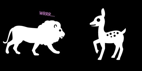 Książeczka kontrastowa Zwierzaki z Zoo Kontrasty